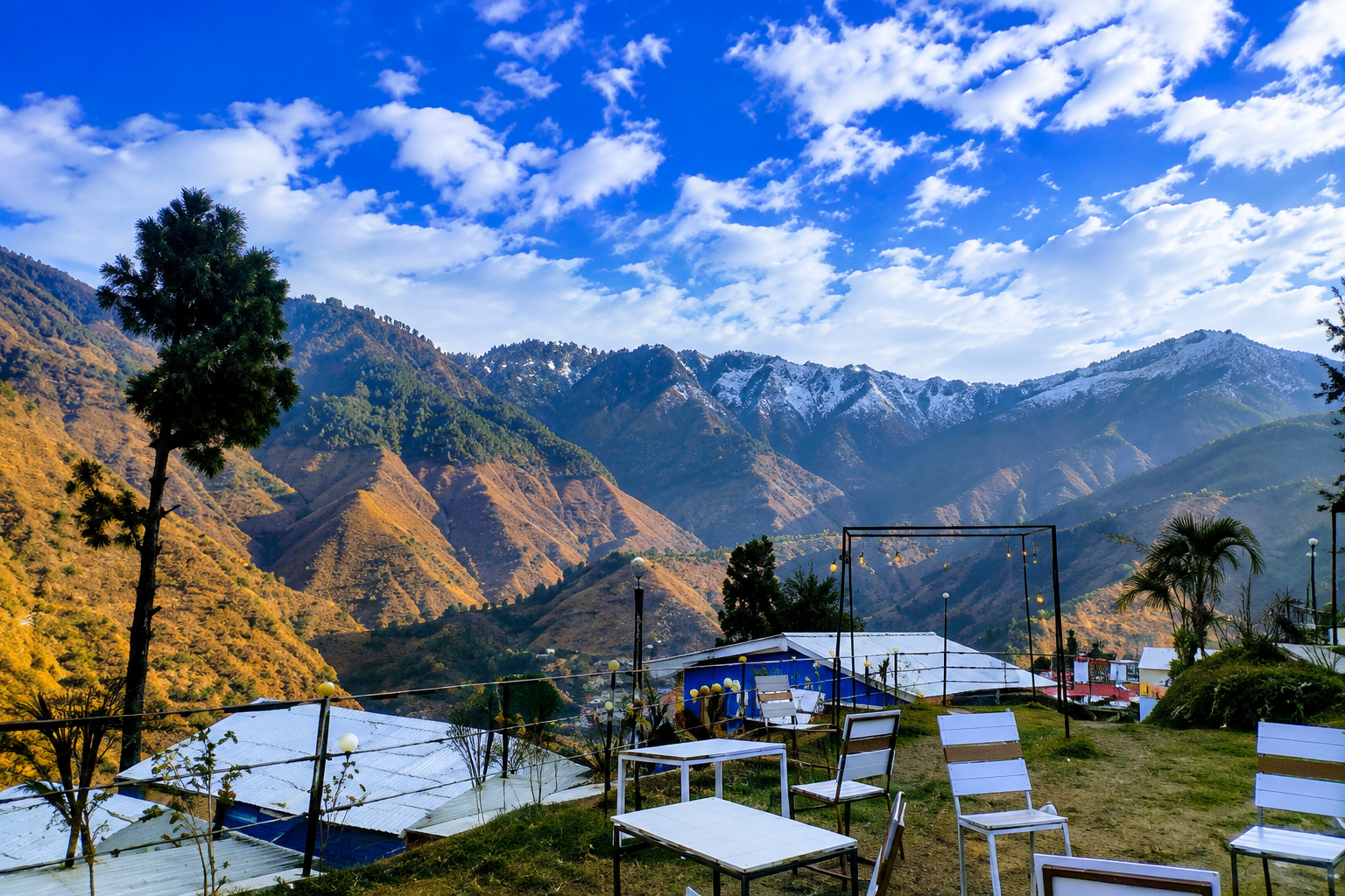 Deodar Dream Gallery 2